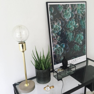 graptoveria-50-70-plante-plakat