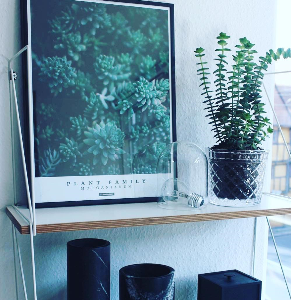 Grøn plante plakat i 30x40 cm stående på reol ved siden af glas potteplante