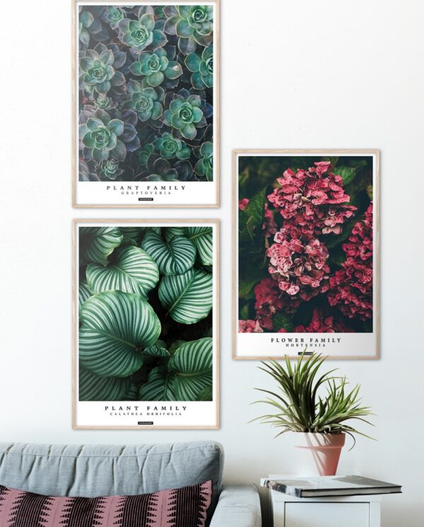 Plante plakatsæt med lys ramme