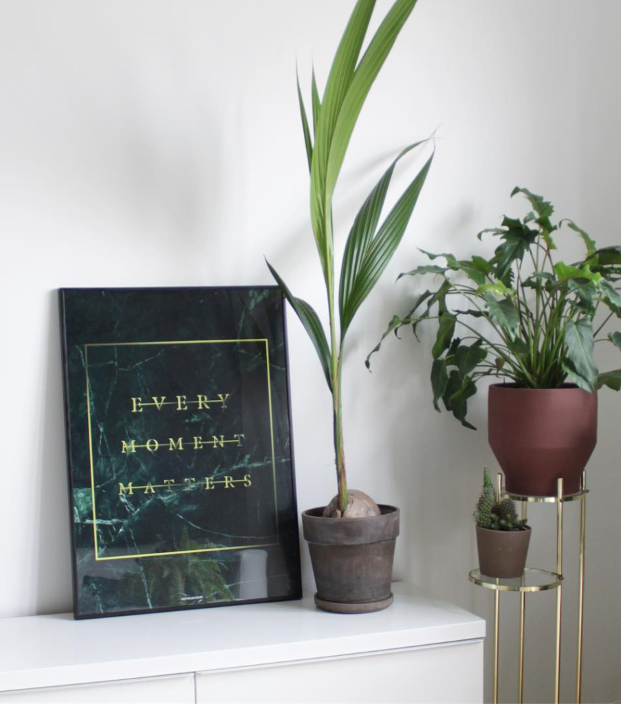 Grøn marmor plakat ved siden af en høj plante på en kommode med guldskrift og mørk billederamme