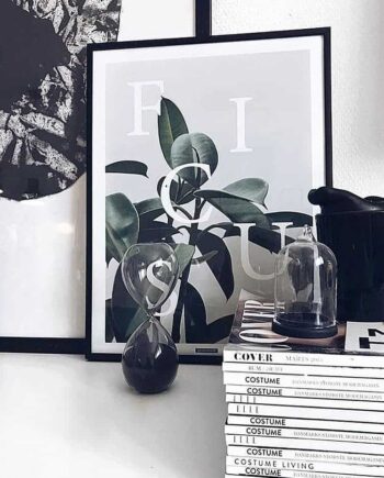 Ficus Elastica plakat - botanik, planter og tekst