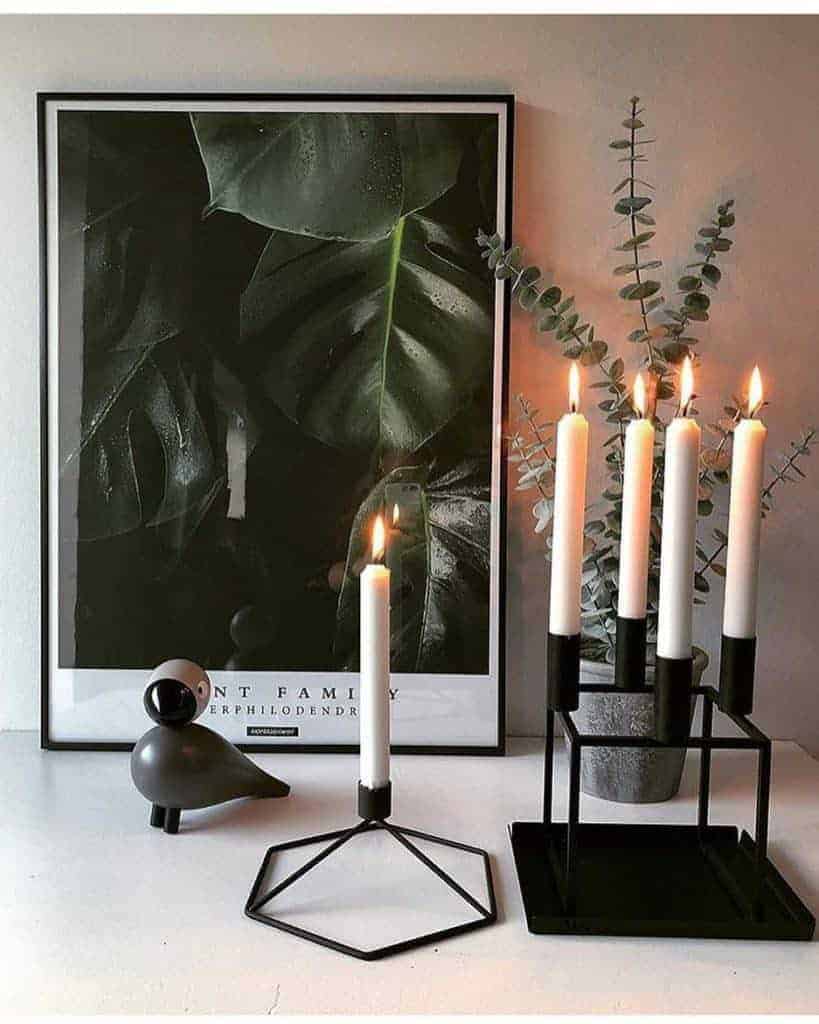 Fingerfilodendron plakat