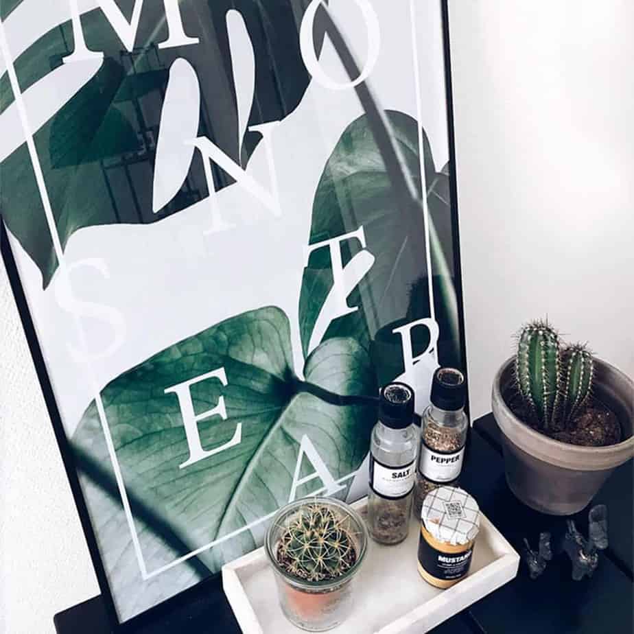 Monstera plakat