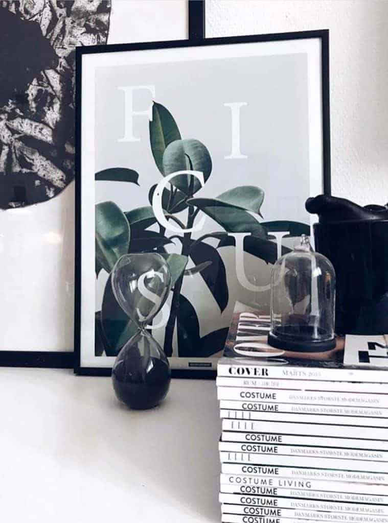 Grøn plante billede - Ficus Elastica plakat