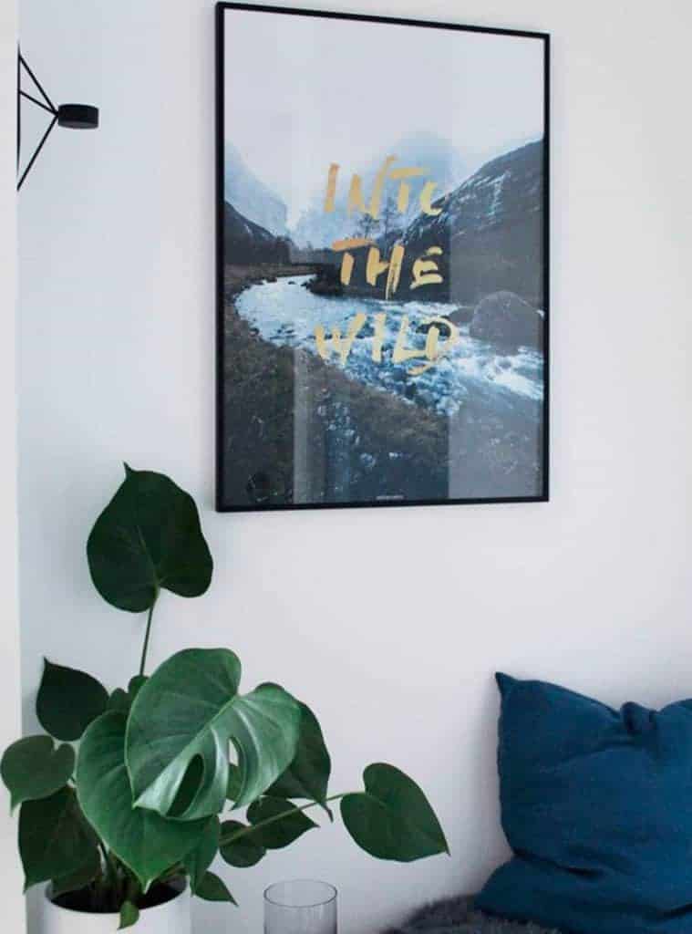 Fotokunst natur billede med guld tekst - Into The Wild plakat