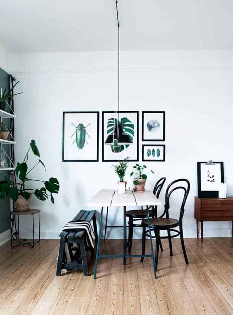 Ditteblog.dk - Inspiration til planter og indretning