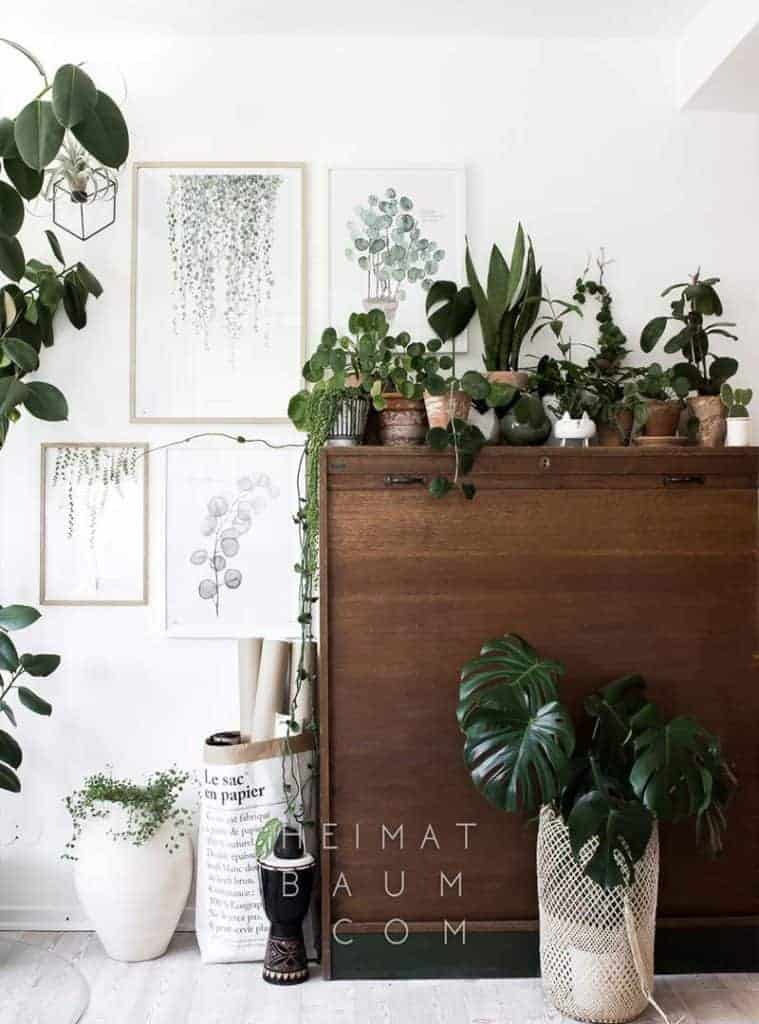 Heimat Baum - Inspiration til botanisk indretning