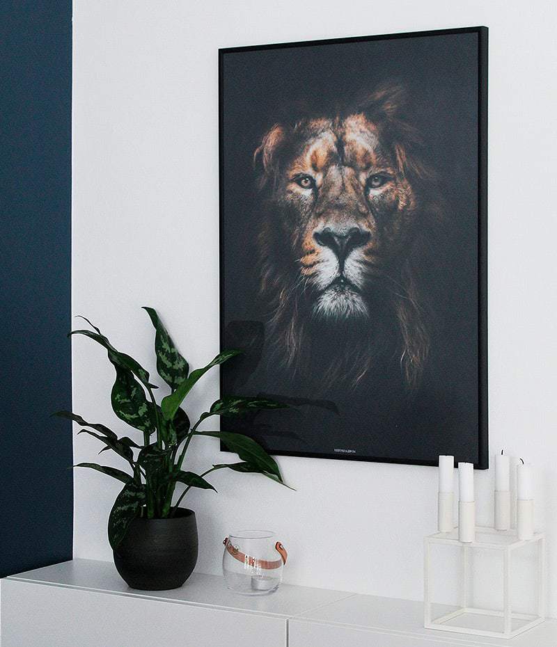 Lion King plakat - dyremotiv løve plakat