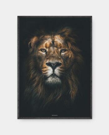 Lion King plakat i mørk ramme