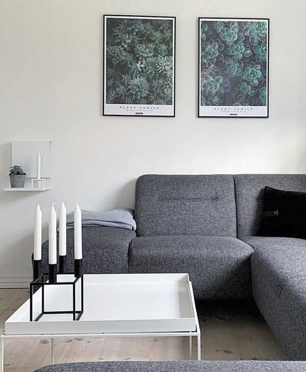 Perfect pair - Graptoveria og Morganianium plante plakater