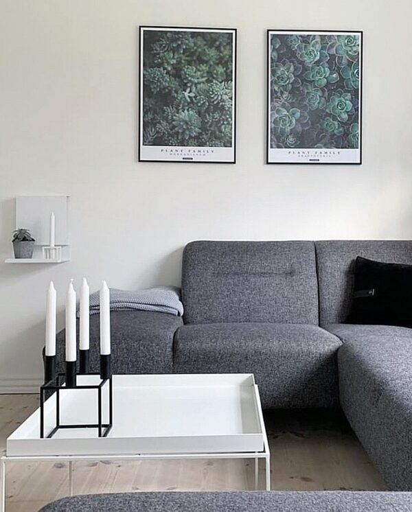 Perfect pair - Graptoveria og Morganianium plante plakater