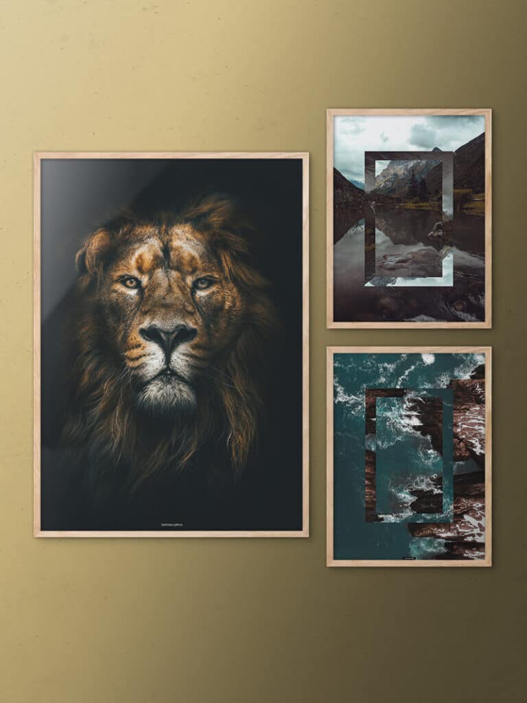 Billedvæg med løve og natur plakater på guldvæg i egetrærammer