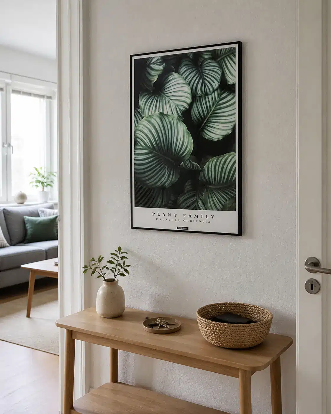 Calathea Orbifolia planteplakat i entré