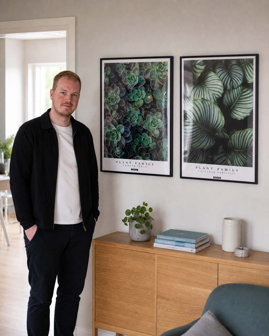 Miljøbillede med plakater i stuen