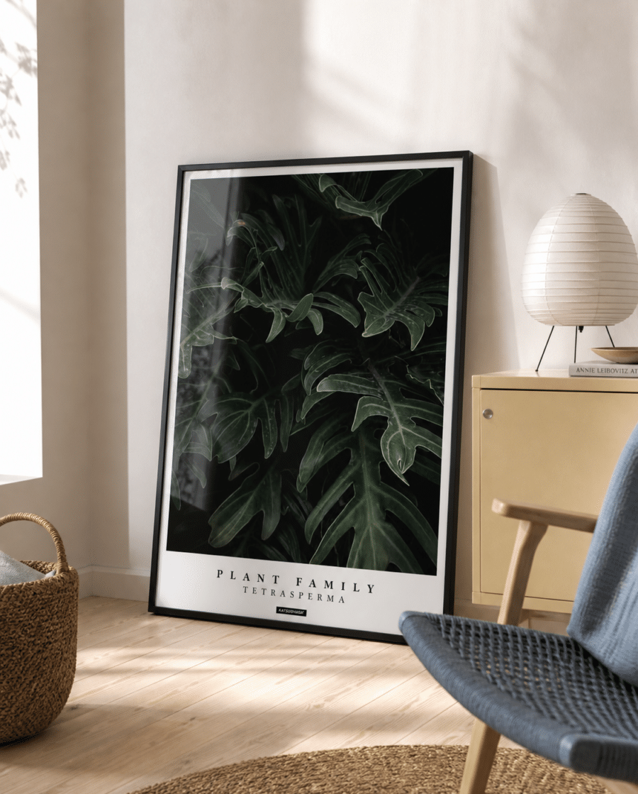 TETRASPERMA plakat i ramme i en lys nordisk solstue med gul skænk, blå stol og naturligt dagslys